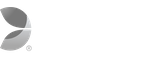 Evolotion Gaming